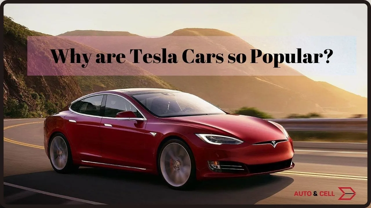 Why is Tesla very popular | 5 reasons behind Tesla's supremacy in the global EV market