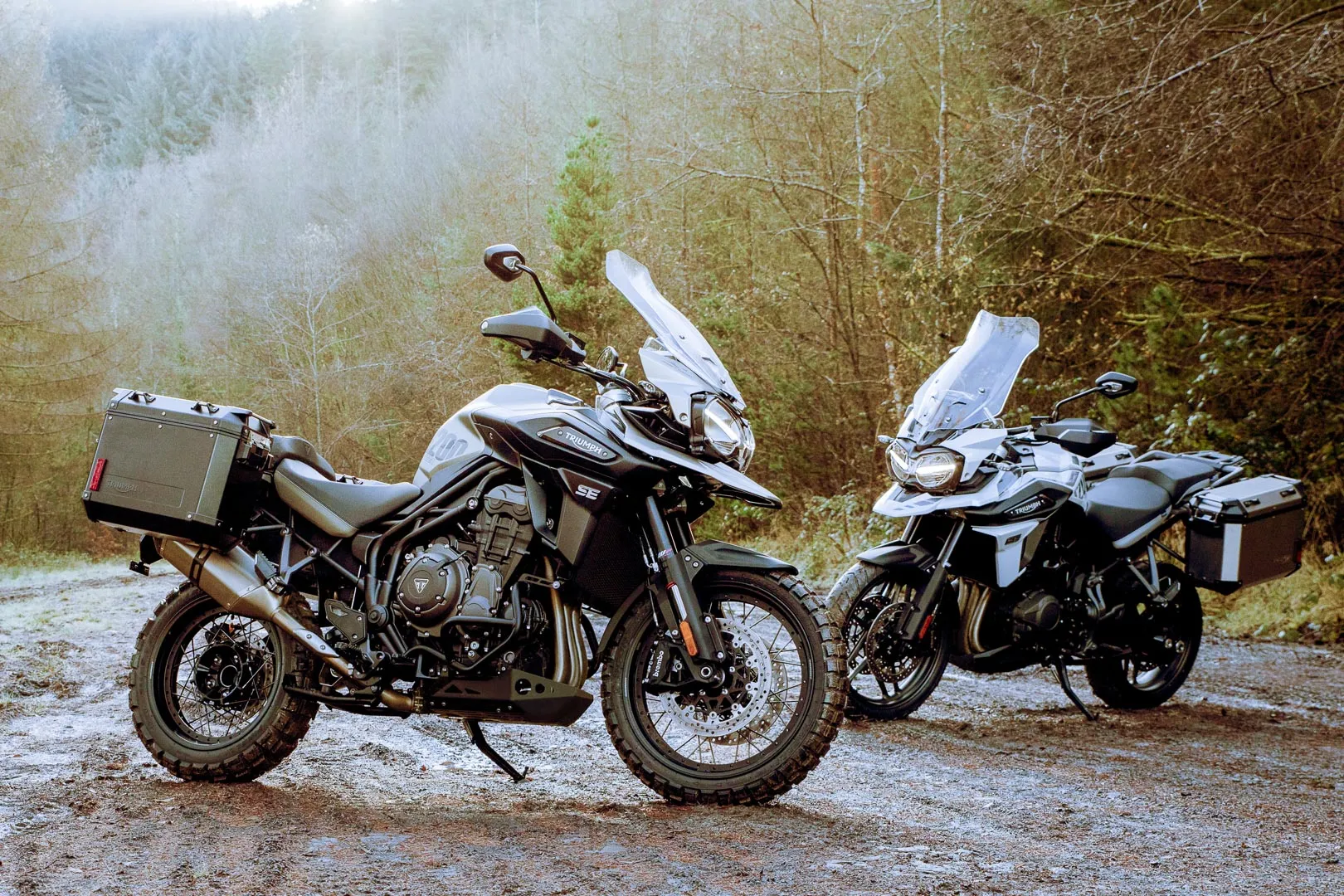 Triumph Tiger 1200: Features, Specifications and Price