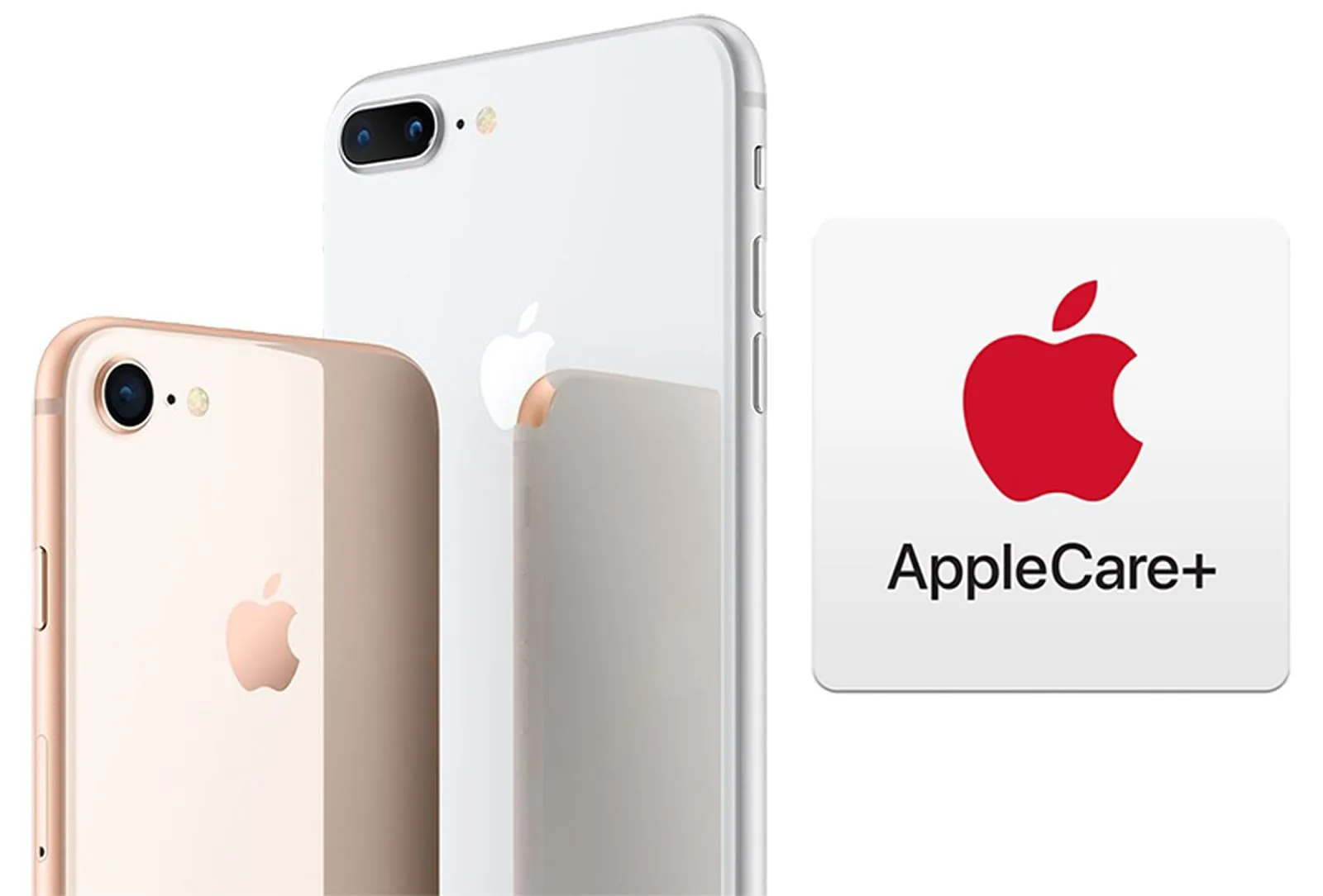Best Insurance Options for iPhones in the USA in 2022: Compare the Plans Here
