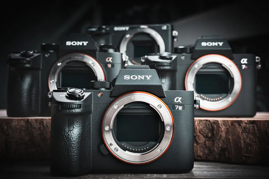 Mirrorless Cameras From Sony: Variants, Specs, and Price
