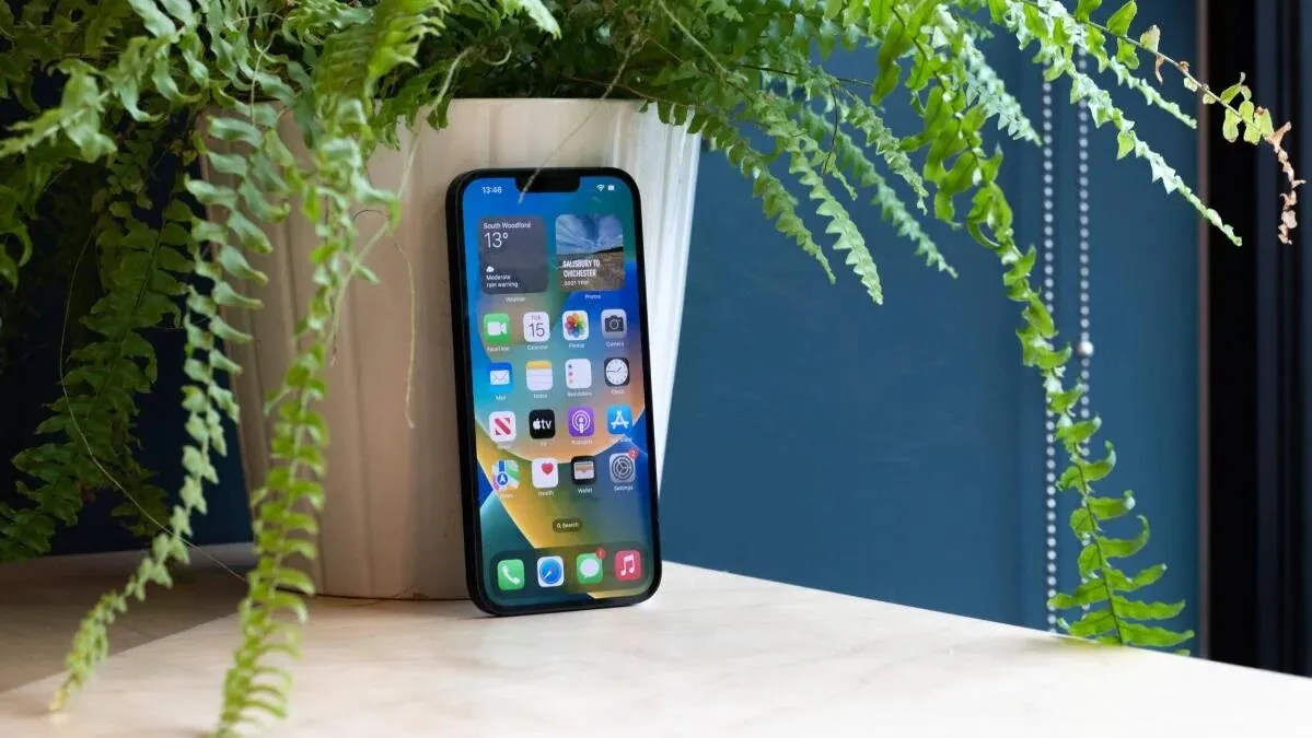 Apple increases battery replacement cost for iPhones