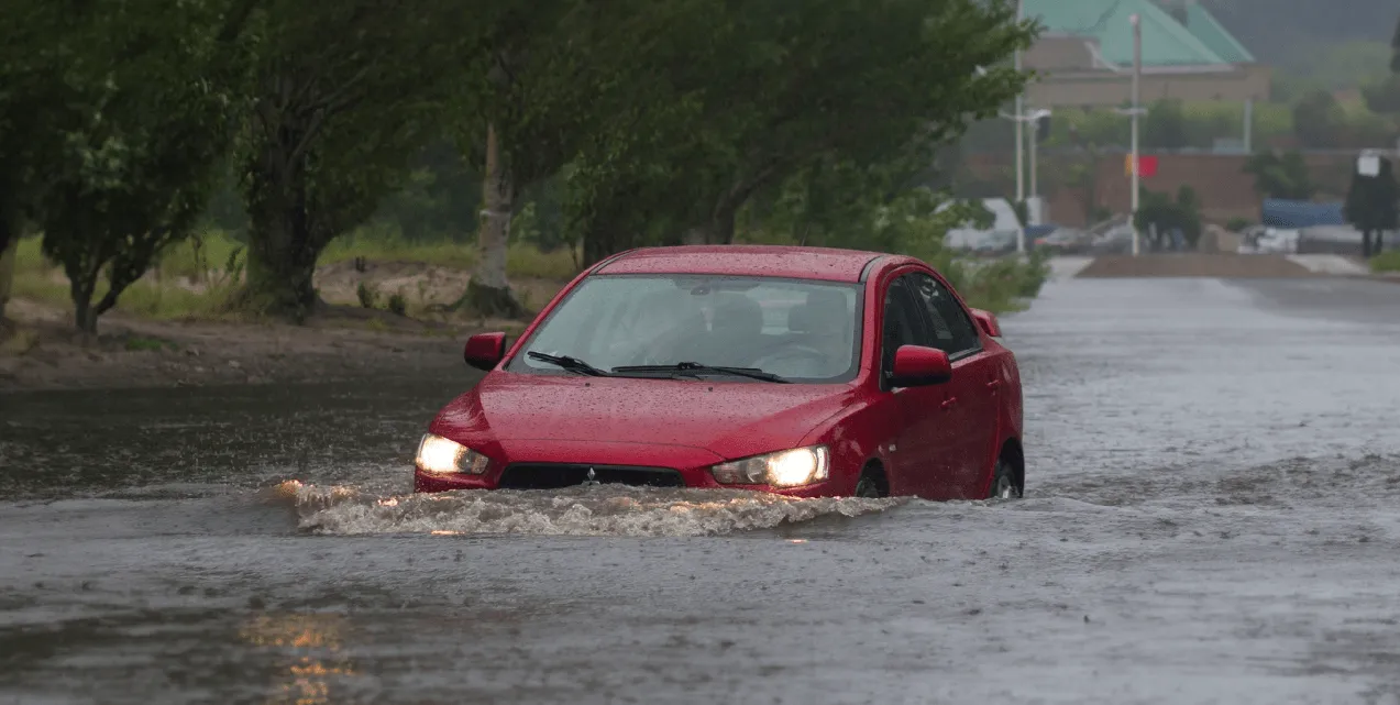 Government Waives Full Customs Duty on Replacement Vehicles for Flood-Hit Businesses